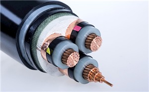 電纜材料最常出現的14大問(wèn)題！