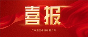重磅喜訊！熱烈祝賀堅寶電纜榮登"2023年度電線(xiàn)電纜十大品牌"??！